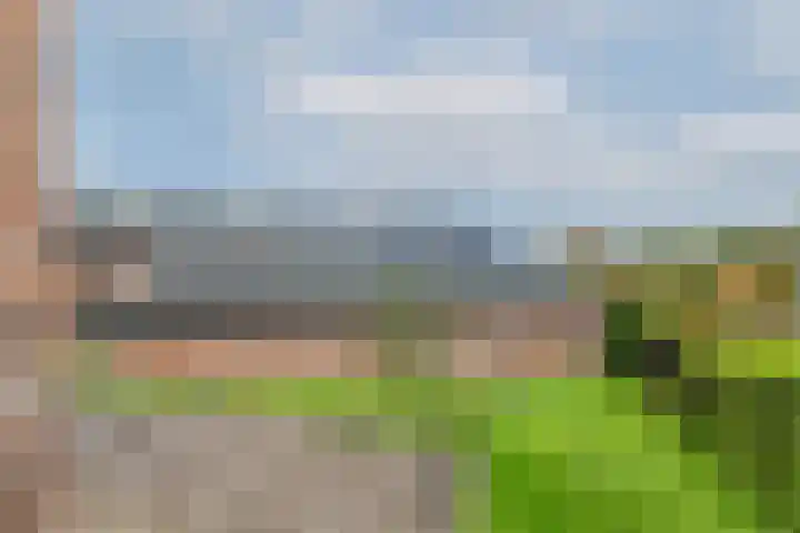 Weelsedijk 46 Strijen thumbnail 54