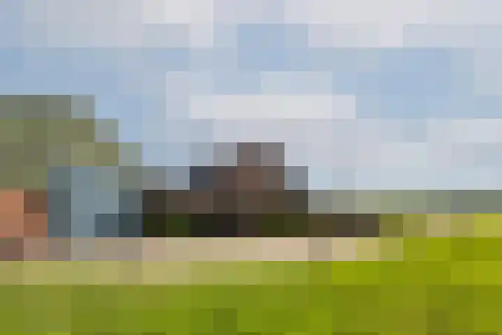 Weelsedijk 46 Strijen thumbnail 59