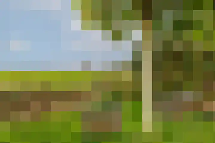 Weelsedijk 46 Strijen thumbnail 68