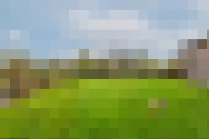 Weelsedijk 46 Strijen thumbnail 70