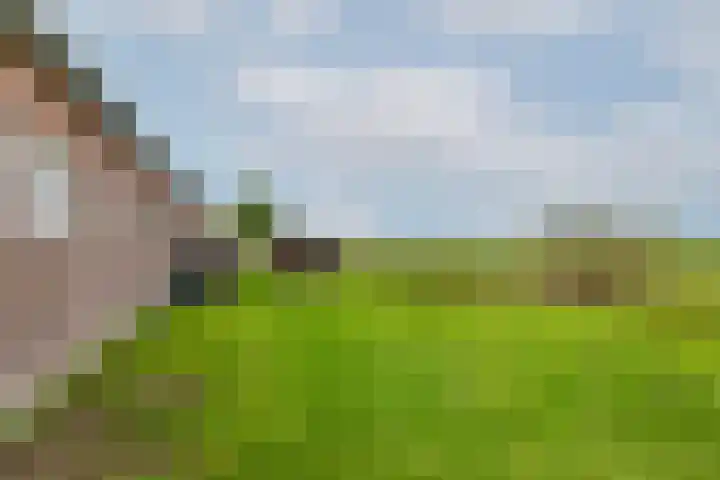 Weelsedijk 46 Strijen thumbnail 73