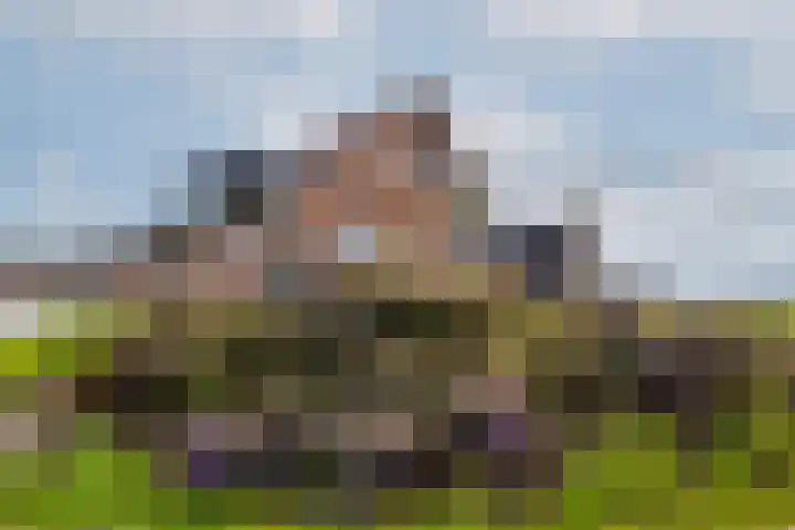 Weelsedijk 46 Strijen thumbnail 8