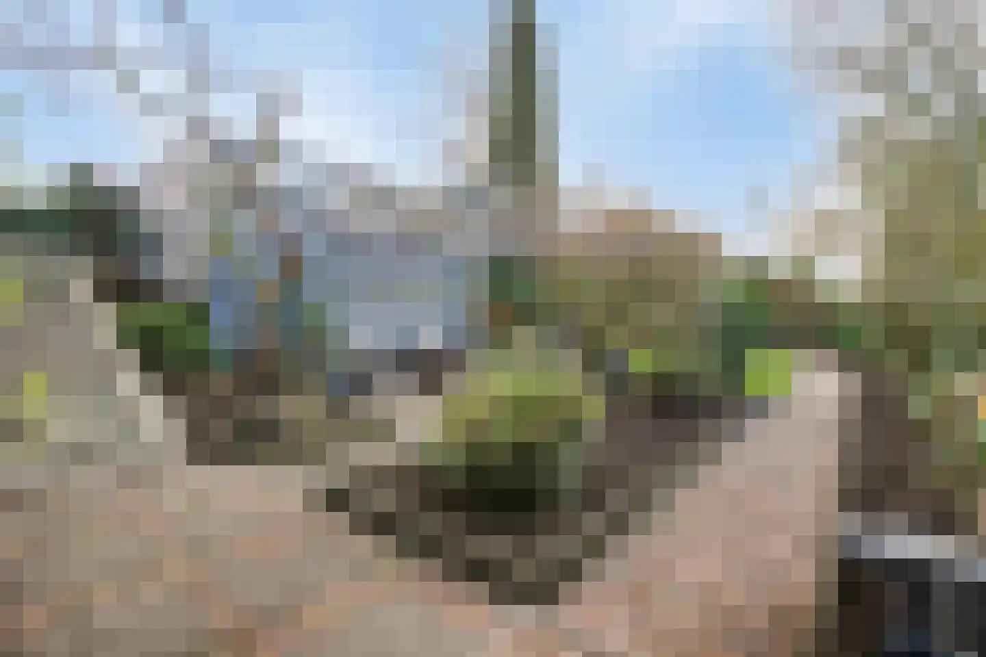 Weelsedijk 54 Strijen thumbnail 39