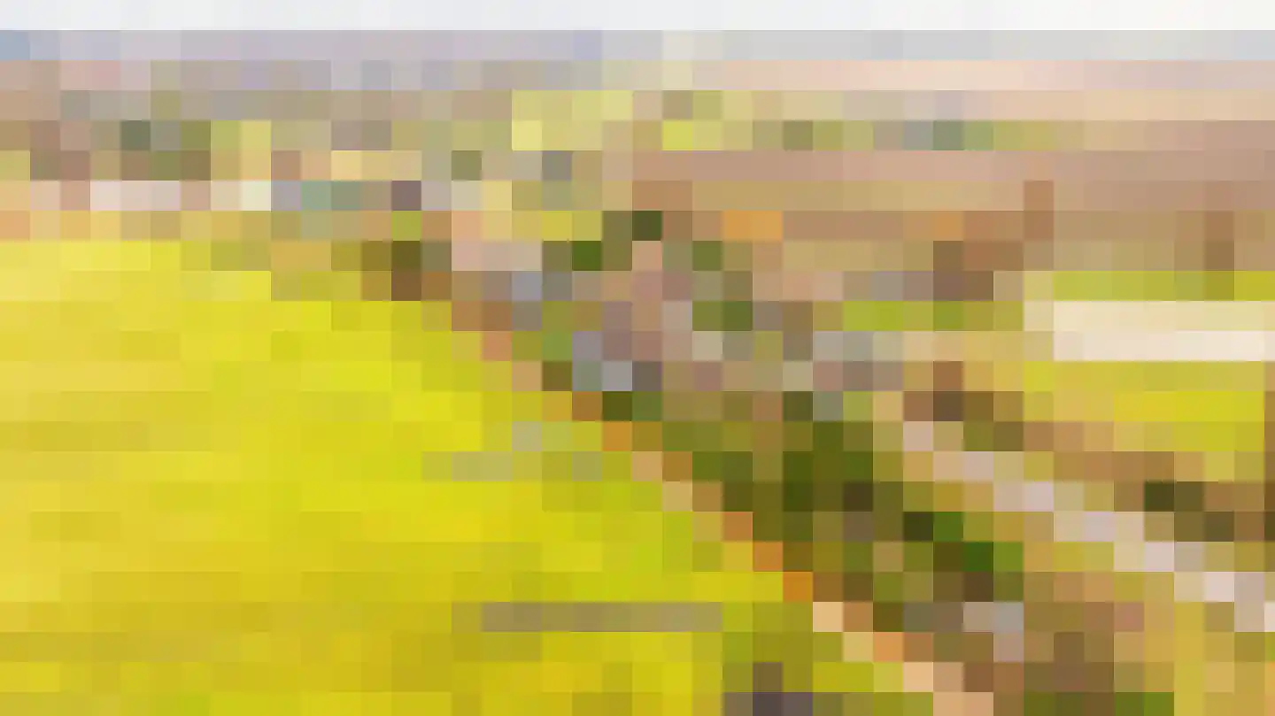 Weelsedijk 54 Strijen thumbnail 4