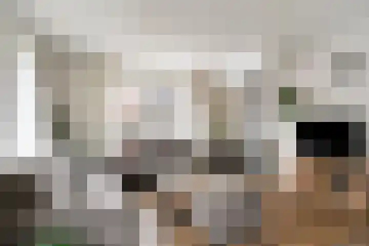 Weemeweg 1 Epe thumbnail 11