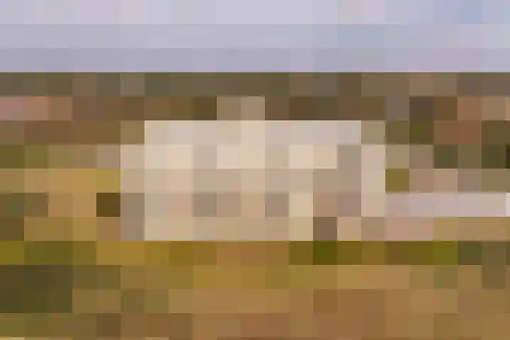 Weemeweg 1 Epe thumbnail 13