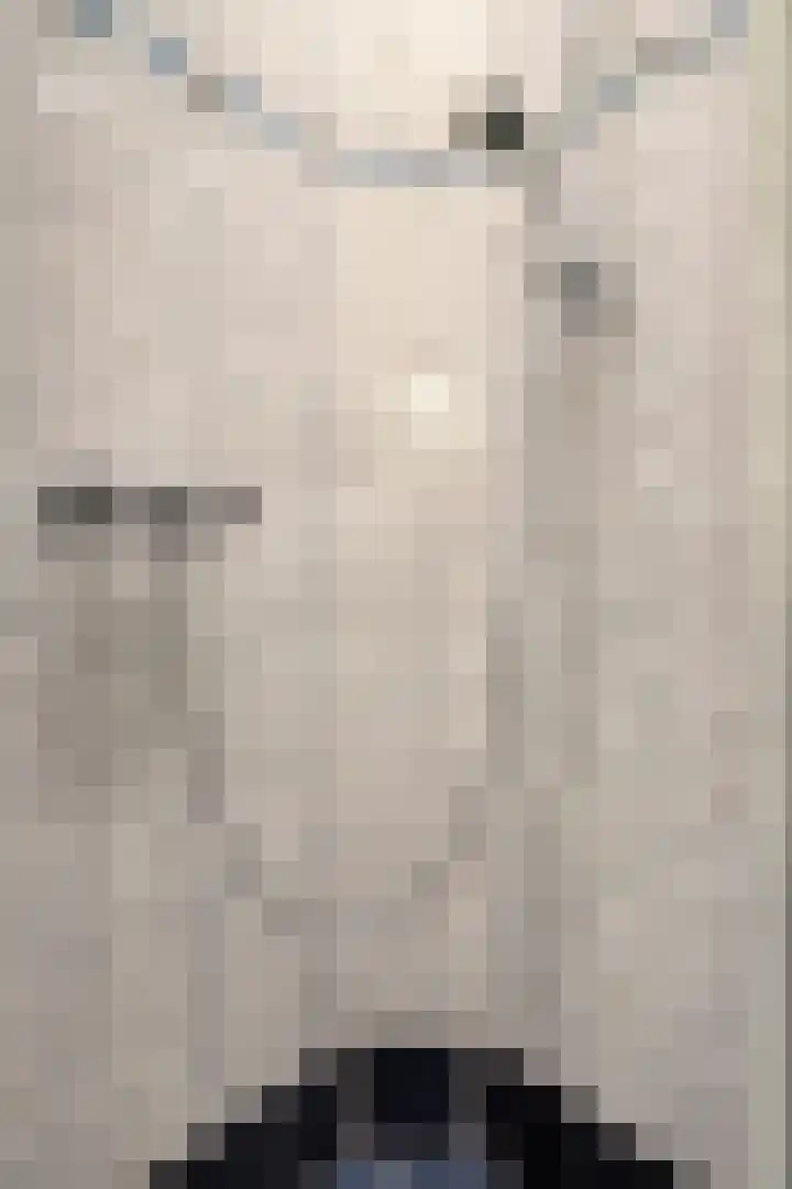 Weemeweg 1 Epe thumbnail 22