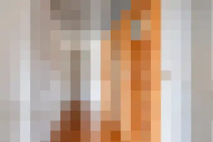 Weemeweg 1 Epe thumbnail 24