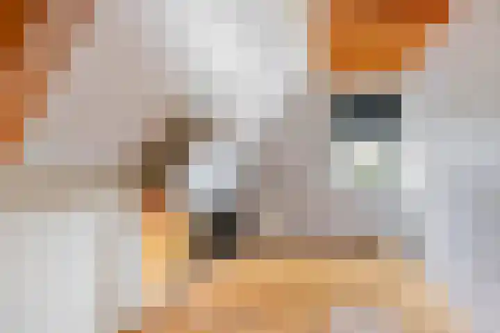 Weemeweg 1 Epe thumbnail 32