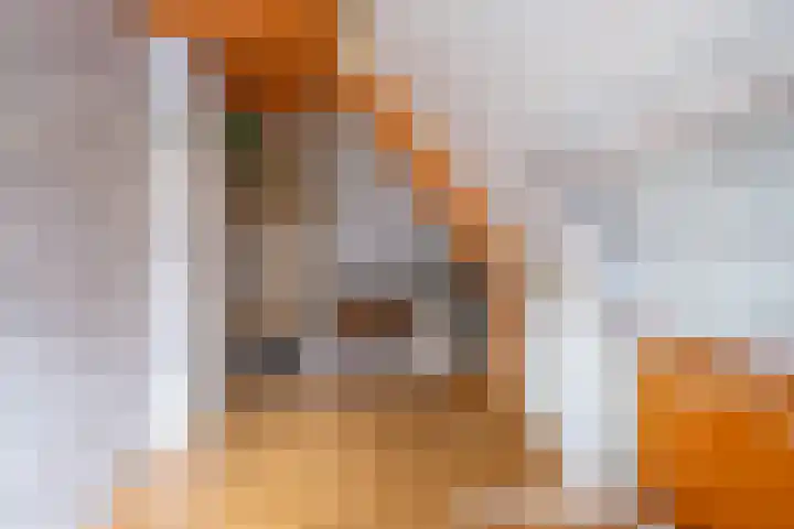 Weemeweg 1 Epe thumbnail 33