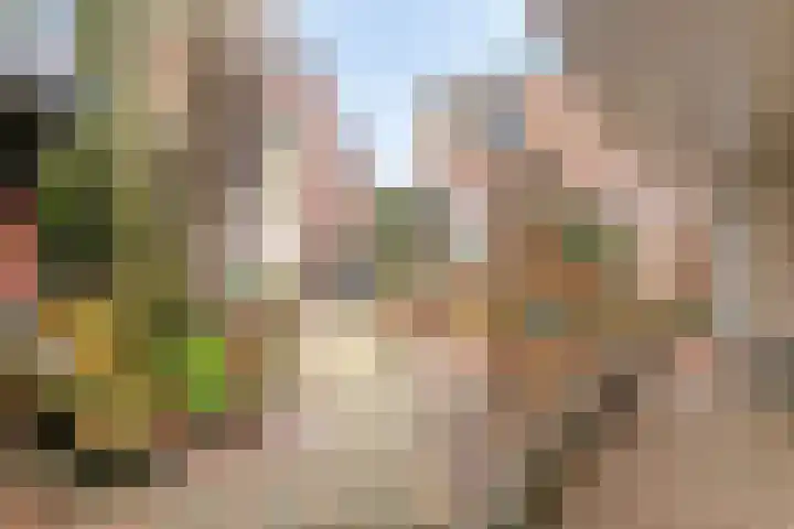 Weemeweg 1 Epe thumbnail 36