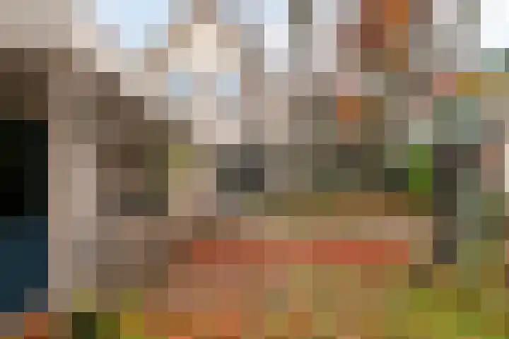 Weemeweg 1 Epe thumbnail 38