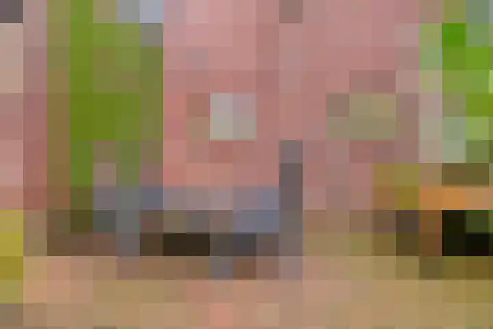 Weemeweg 1 Epe thumbnail 39