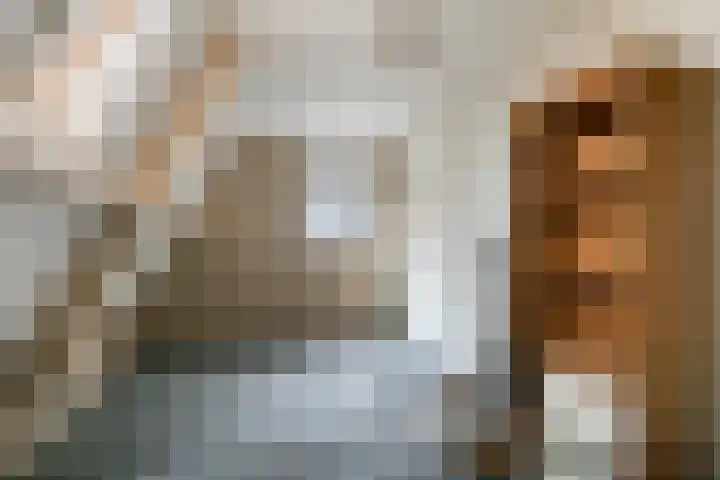 Weemeweg 1 Epe thumbnail 43