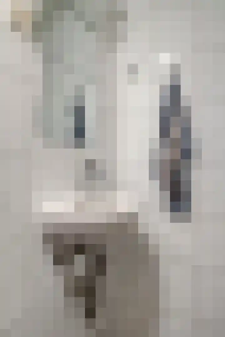 Weemeweg 1 Epe thumbnail 45