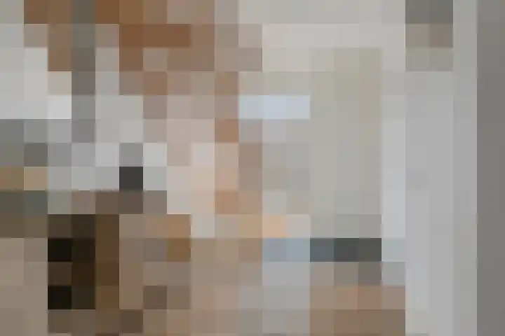 Weemeweg 1 Epe thumbnail 6