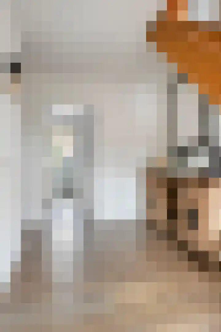 Weemeweg 1 Epe thumbnail 7