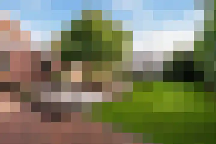 Weemeweg 41 Oosterwolde thumbnail 25