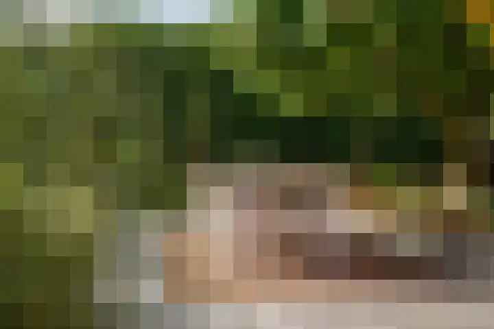 Weemeweg 41 Oosterwolde thumbnail 27