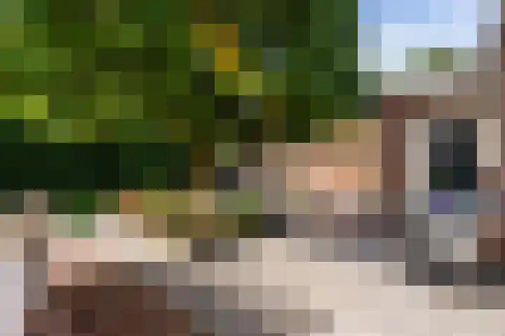 Weemeweg 41 Oosterwolde thumbnail 28