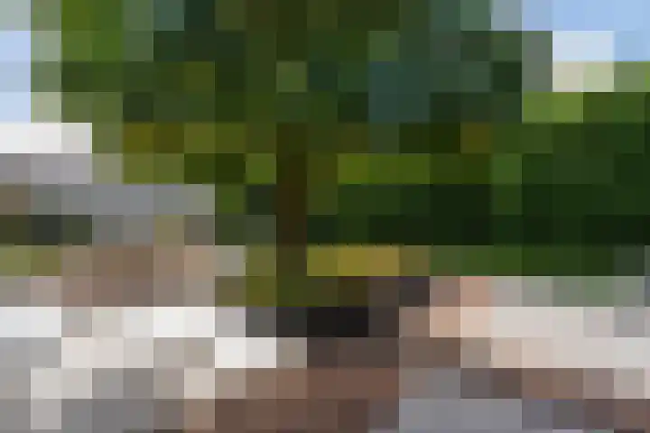 Weemeweg 41 Oosterwolde thumbnail 29