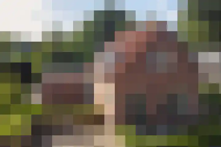 Weemeweg 41 Oosterwolde thumbnail 34