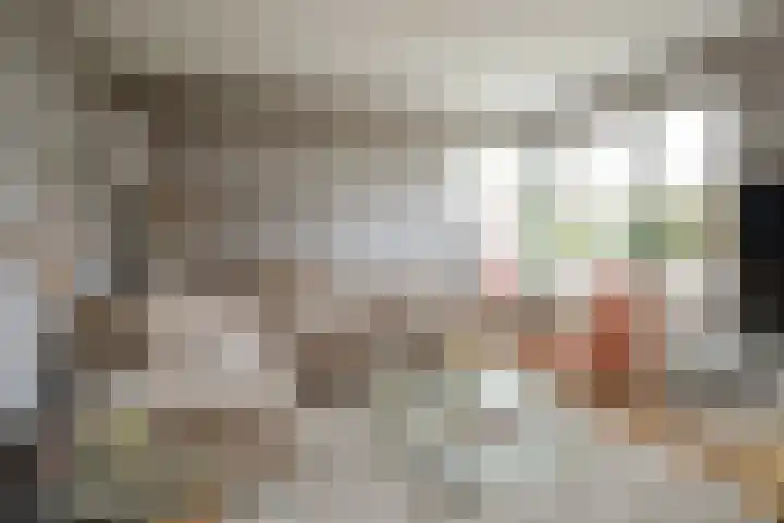 Weemselo 1 Losser thumbnail 10