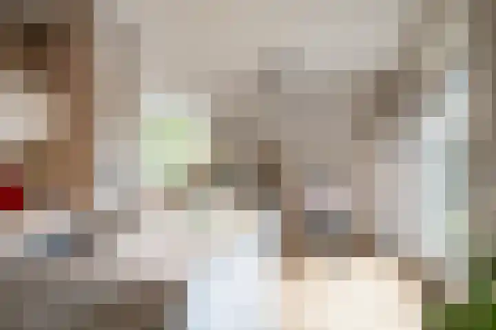 Weemselo 1 Losser thumbnail 16