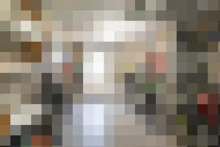 Weemselo 1 Losser thumbnail 21