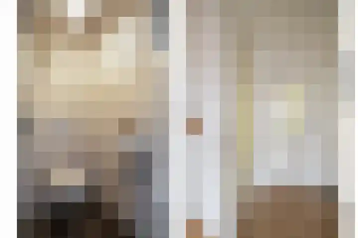 Weemselo 1 Losser thumbnail 5