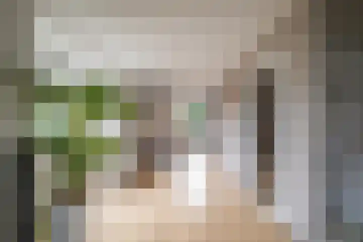 Weemselo 1 Losser thumbnail 8