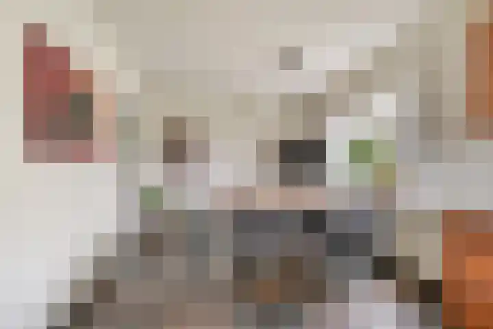 Weemstraat 33 Didam thumbnail 11