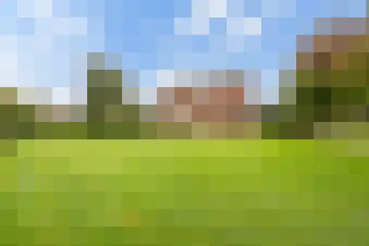 Weemstraat 33 Didam thumbnail 33