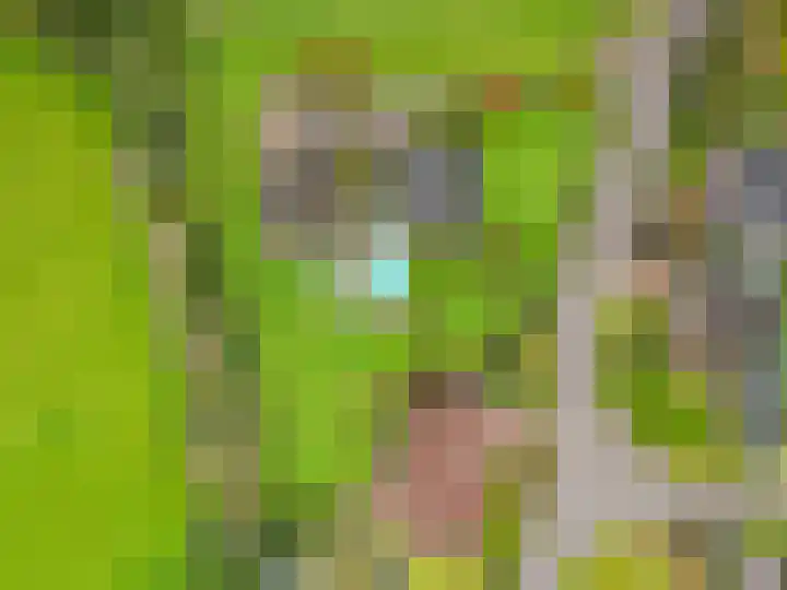 Weemstraat 33 Didam thumbnail 35