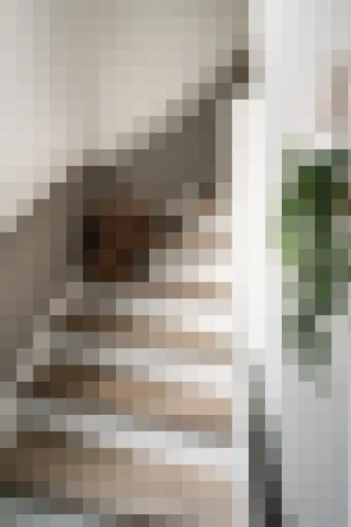 Weemstraat 6 Beek thumbnail 11