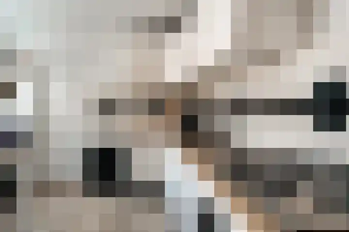 Weemstraat 6 Beek thumbnail 22