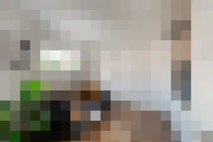 Weemstraat 6 Beek thumbnail 27