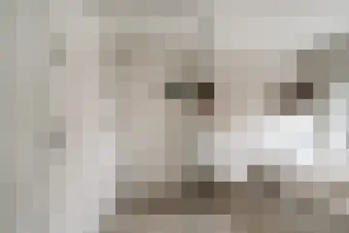 Weemstraat 6 Beek thumbnail 4