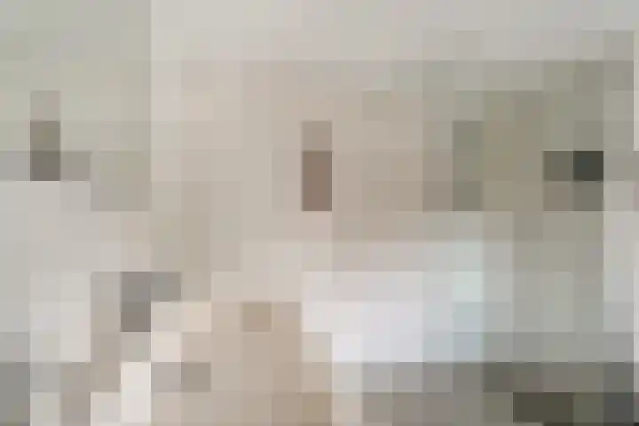 Weemstraat 6 Beek thumbnail 43