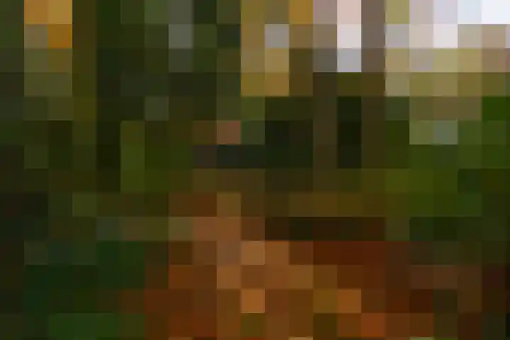 Weemveld 18 Zeeland thumbnail 17