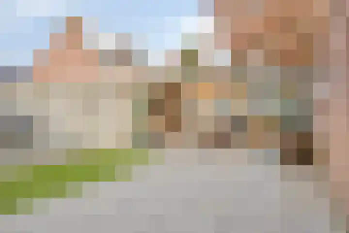 Weemveld 18 Zeeland thumbnail 4