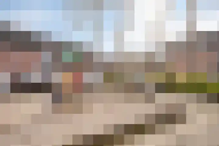 Weemveld 18 Zeeland thumbnail 40