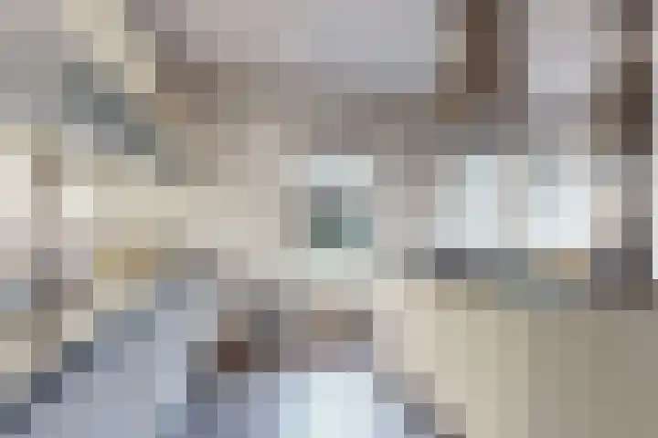 Weemweg 4 Stedum thumbnail 15