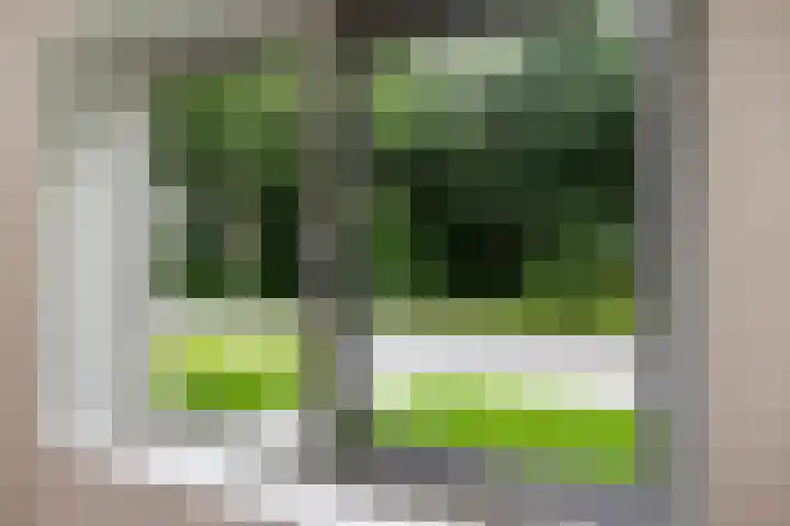 Weemweg 4 Stedum thumbnail 19