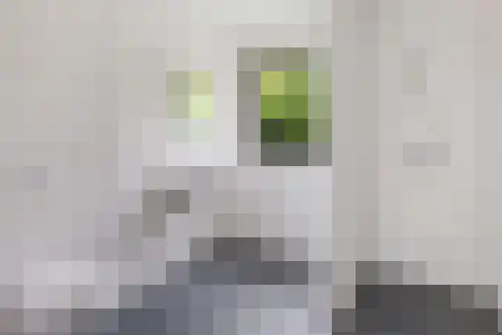 Weemweg 4 Stedum thumbnail 21