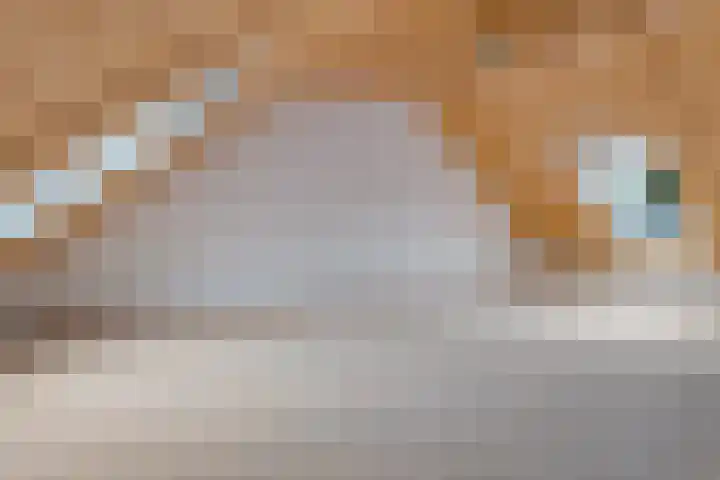 Weemweg 4 Stedum thumbnail 31
