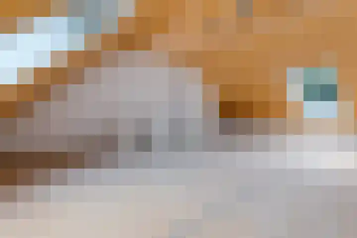 Weemweg 4 Stedum thumbnail 32