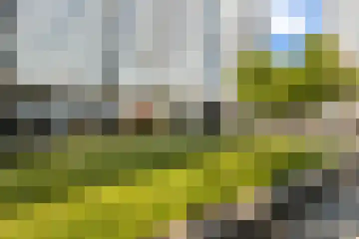Weena 19 A Rotterdam thumbnail 34