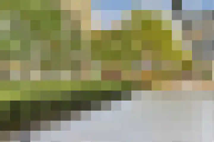 Weena 199 Rotterdam thumbnail 30