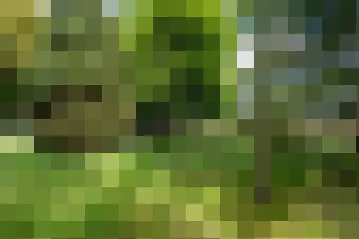 Weenderstraat 26 Vlagtwedde thumbnail 31